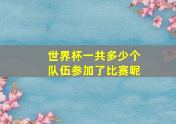 世界杯一共多少个队伍参加了比赛呢