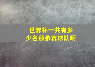 世界杯一共有多少名额参赛球队啊