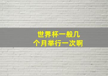 世界杯一般几个月举行一次啊