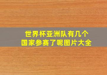 世界杯亚洲队有几个国家参赛了呢图片大全