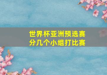 世界杯亚洲预选赛分几个小组打比赛