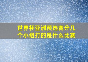 世界杯亚洲预选赛分几个小组打的是什么比赛