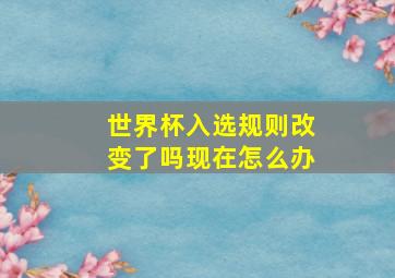 世界杯入选规则改变了吗现在怎么办