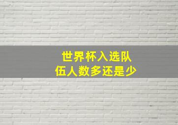 世界杯入选队伍人数多还是少