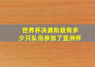 世界杯决赛阶段有多少只队伍参加了亚洲杯