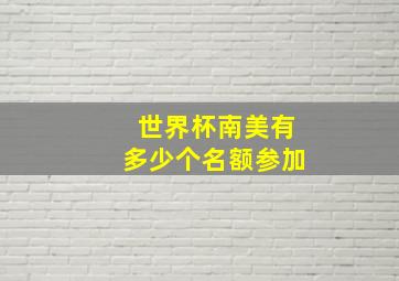 世界杯南美有多少个名额参加