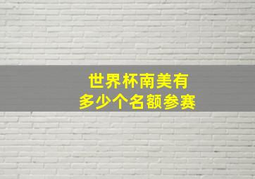 世界杯南美有多少个名额参赛