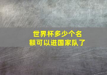 世界杯多少个名额可以进国家队了