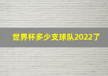 世界杯多少支球队2022了