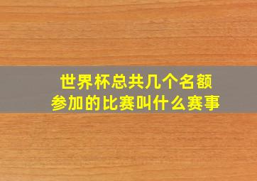 世界杯总共几个名额参加的比赛叫什么赛事