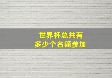 世界杯总共有多少个名额参加