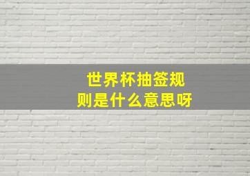 世界杯抽签规则是什么意思呀