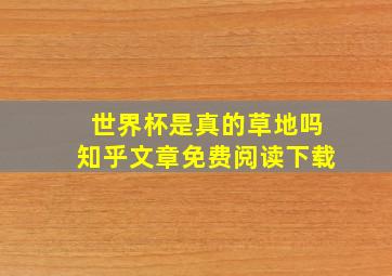 世界杯是真的草地吗知乎文章免费阅读下载