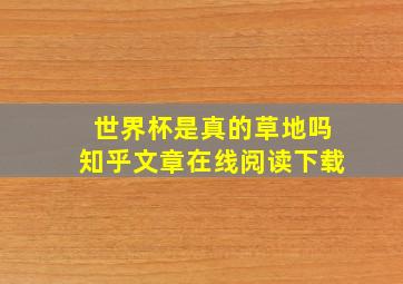 世界杯是真的草地吗知乎文章在线阅读下载