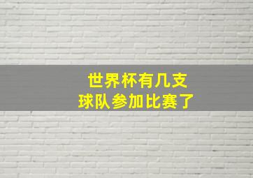 世界杯有几支球队参加比赛了