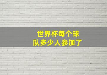 世界杯每个球队多少人参加了