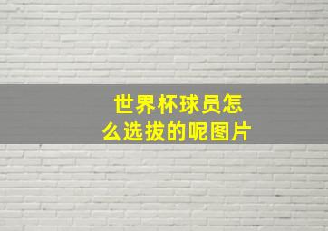 世界杯球员怎么选拔的呢图片