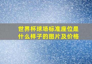 世界杯球场标准座位是什么样子的图片及价格