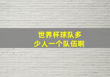 世界杯球队多少人一个队伍啊