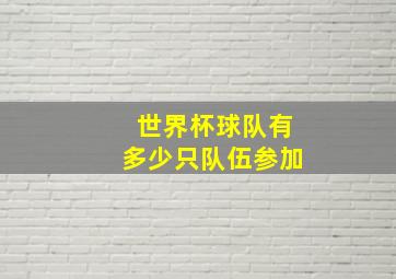 世界杯球队有多少只队伍参加