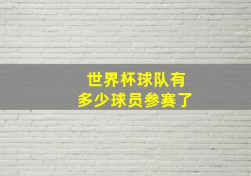 世界杯球队有多少球员参赛了