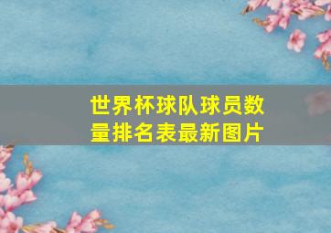 世界杯球队球员数量排名表最新图片