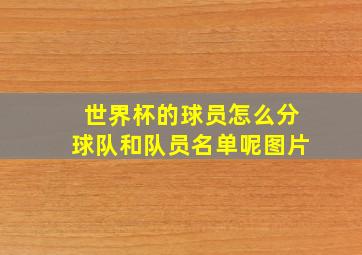 世界杯的球员怎么分球队和队员名单呢图片