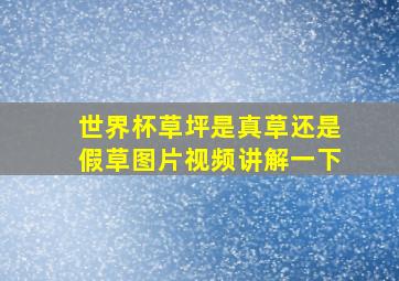 世界杯草坪是真草还是假草图片视频讲解一下