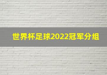 世界杯足球2022冠军分组