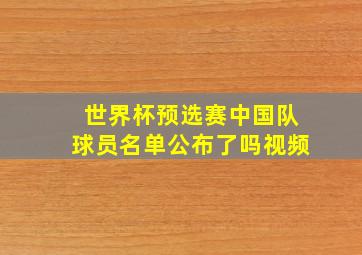 世界杯预选赛中国队球员名单公布了吗视频