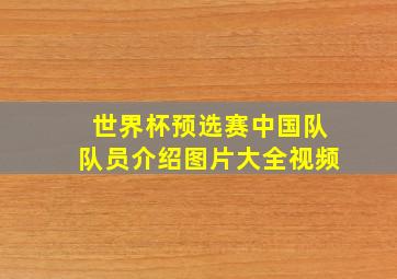 世界杯预选赛中国队队员介绍图片大全视频