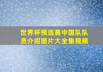 世界杯预选赛中国队队员介绍图片大全集视频