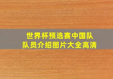 世界杯预选赛中国队队员介绍图片大全高清