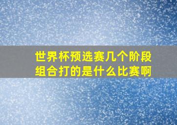 世界杯预选赛几个阶段组合打的是什么比赛啊