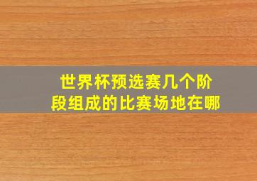 世界杯预选赛几个阶段组成的比赛场地在哪