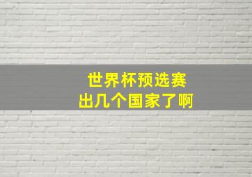 世界杯预选赛出几个国家了啊