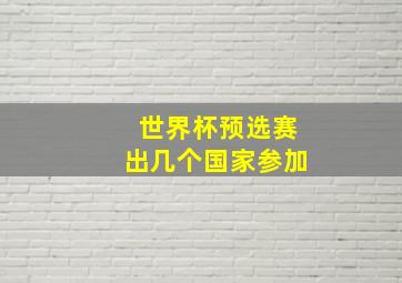 世界杯预选赛出几个国家参加