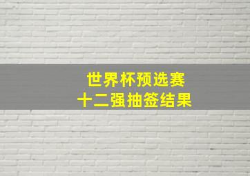 世界杯预选赛十二强抽签结果