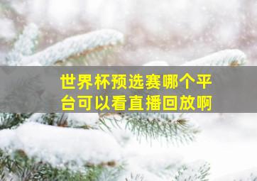 世界杯预选赛哪个平台可以看直播回放啊