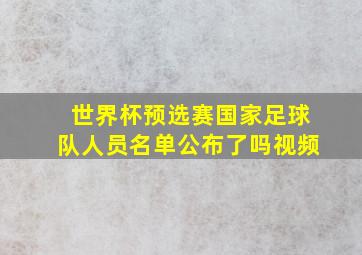 世界杯预选赛国家足球队人员名单公布了吗视频