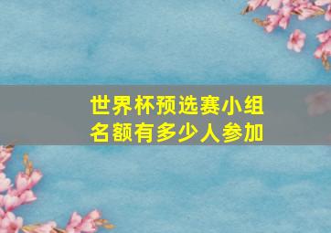 世界杯预选赛小组名额有多少人参加