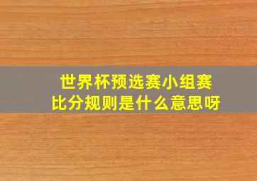 世界杯预选赛小组赛比分规则是什么意思呀