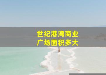 世纪港湾商业广场面积多大