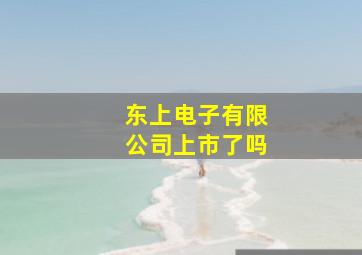 东上电子有限公司上市了吗