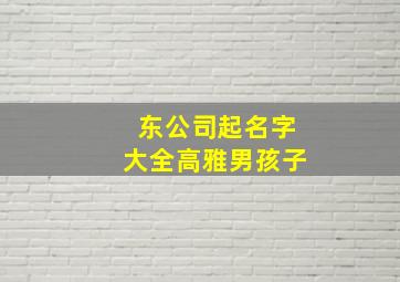 东公司起名字大全高雅男孩子