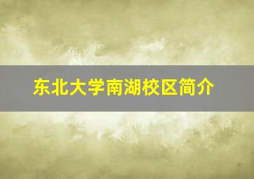 东北大学南湖校区简介