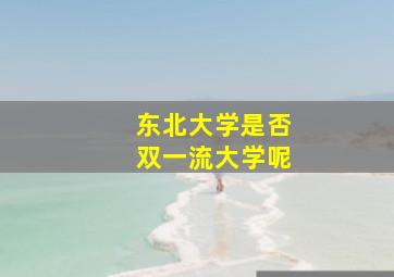 东北大学是否双一流大学呢