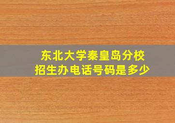 东北大学秦皇岛分校招生办电话号码是多少