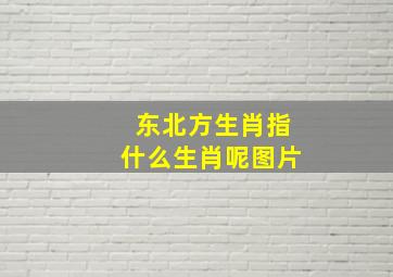 东北方生肖指什么生肖呢图片