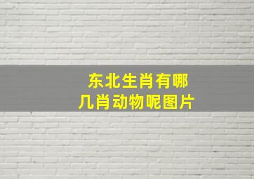 东北生肖有哪几肖动物呢图片